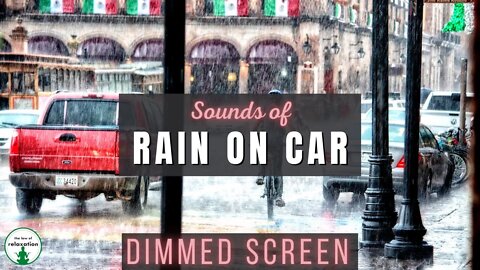 Rain on Car Sounds - Dimmed Screen | Relaxation sounds for sleep and calm