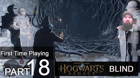 First Time Playing Hogwarts Legacy PS4 (Blind Let's Play) FULL GAME Part 18 Slytherin - #SecretRoom