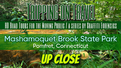 Tripping on Travel: Mashamoquet State Park, Pomfret, CT