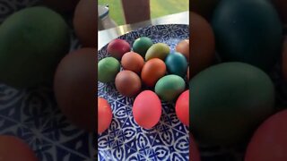 Gorgeous Dyed Brown Easter Eggs