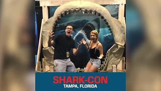 Shark-Con arrives in Tampa Bay