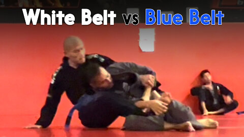White Belt vs Blue Belt Asian Andrew | Circadian MMA (10-18-2022)