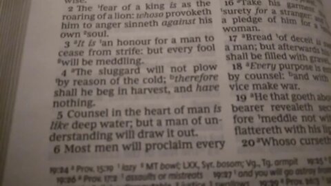 Proverbs 20:1-5 KJV