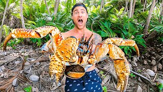 Largest Land Crab In The World.