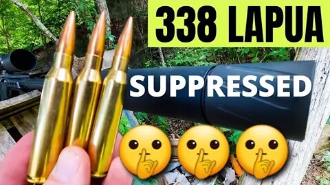 .338 Lapua Suppressed 🤫🤫🤫 SO QUIET [Banish 46 Suppressor]