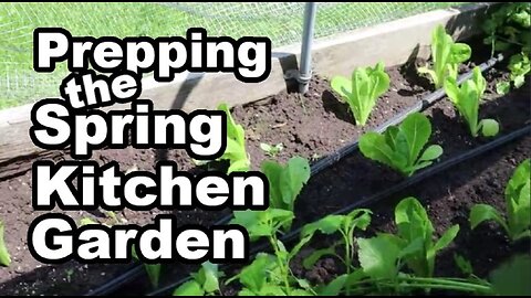 Mid May Spring Kitchen Garden Prep and Progress #garden #kitchengarden #springgarden