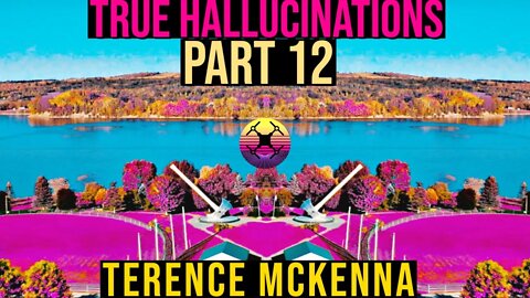 Terence McKenna - True Hallucinations Part 12