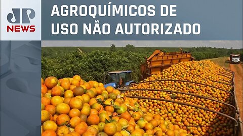 Anvisa alerta para excesso de agrotóxicos em vegetais na comida de brasileiros