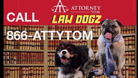THE LAWDOGZ | If my dogs were personal injury lawyers | GET THE TREATS YOU DESERVE | AttorneyTom