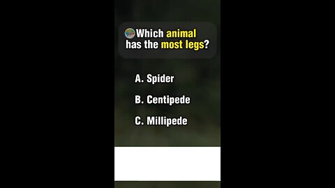 Animal quiz questions with answer