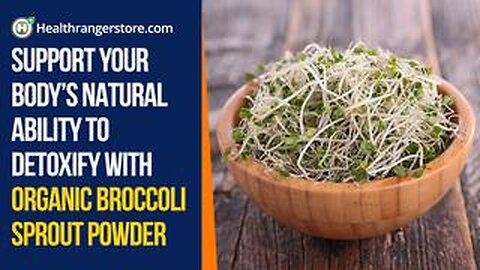 Support your body’s natural ability to detoxify with Organic Broccoli Sprout Powder