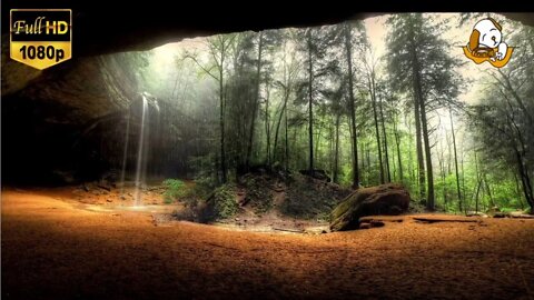 RELAXING FOREST CAVE. With a Woodland Rain Soundtrack. For Meditation, Ambience, Study & More.