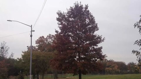 Beautiful Fall Colors At Cunningham Park (Discussing The Hostages In Israel)