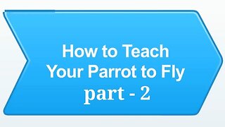 How to teach your parrot to Fly | parrot training part - 2 Easy steps...