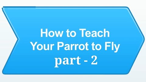 How to teach your parrot to Fly | parrot training part - 2 Easy steps...