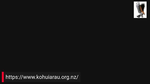 MAY 2 ZOOMIES FOR KOHUIARAU
