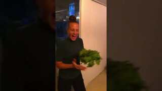 Jenny’s SUPER EXCITED about her LATE NIGHT GREENS HARVEST! 🧑‍🌾🥬❤️ #shorts #viral #tiktok