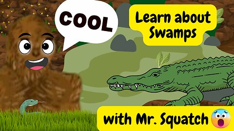 Learn All About The Swamp with Mr. Squatch | Learning Videos for Kids