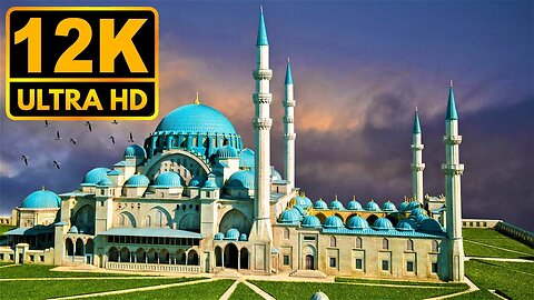 Vivid Beauty 12K HDR 60fps | Dolby Vision