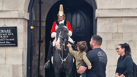 ❤️ Kings guard nods his head its ok to touch #horseguardsparade
