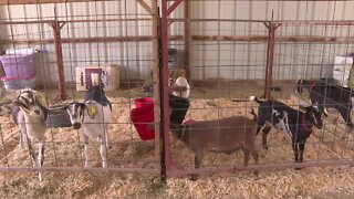 Twin Falls County Fair returns this Labor day weekend