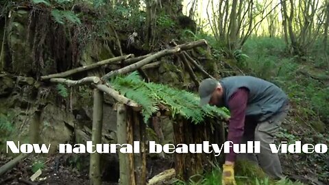 Crafting Nature's Refuge: Bushcraft Techniques for Natural Hut and Bunker Shelter Construction"