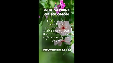 Proverbs 12:12 | Wise Sayings of Solomon