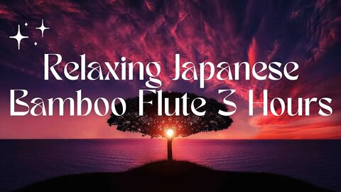 Relaxing Japanese Bamboo Flute 3 Hours