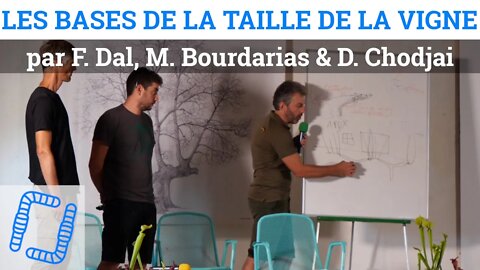 Regards convergents sur les bases de la taille de la vigne, par F. Dal, M. Bourdarias & D. Chodjai