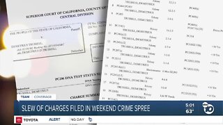 Slew of charges filed in weekend crime spree