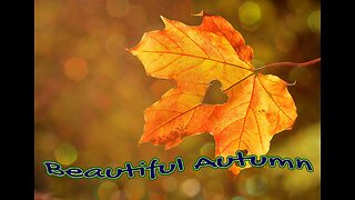 BEAUTIFUL AUTUMN