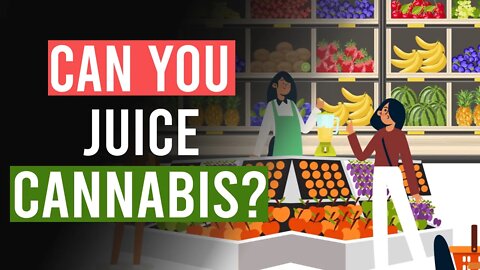 Can you make a CANNABIS Smoothie?
