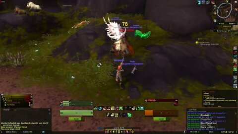 It Springs Eternal WoW BFA Quest completionist guide