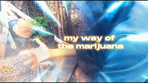 my way of the marijuana grower