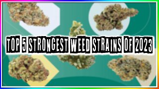 TOP 5 STRONGEST WEED STRAINS OF 2023! (BEST WEED TO GET HIGH!)