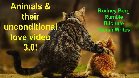 ANIMALS & THEIR UNCONDITIONAL LOVE COMPILATION VIDEO 3.0!