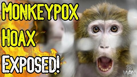 MONKEYPOX HOAX EXPOSED - They're Desperate For Compliance
