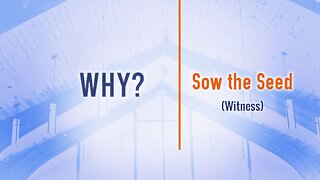 Why? (Sow the Seed) - Will Dhume