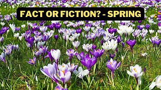 Fact Or Fiction? - Spring