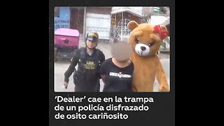 Un policía se disfraza de un oso de peluche para “cortejar” y atrapar a una narcotraficante