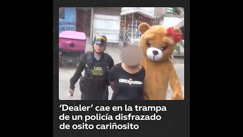 Un policía se disfraza de un oso de peluche para “cortejar” y atrapar a una narcotraficante