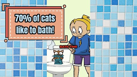 70% of Cats actually likes to take a Bath