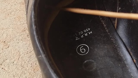 Here Is Why You Should Always Check Your Shoes Before Stepping In