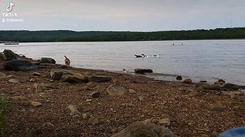 Okmulgee Lake Oklahoma