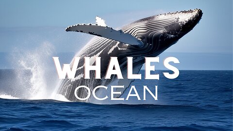 Ocean Giants Unveiled: A Majestic Journey with Whales