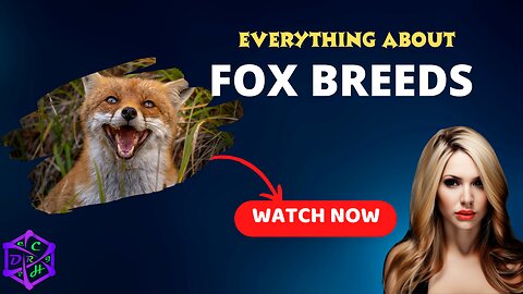 Fox Breeds: A Detailed Look at Their Distinct Features