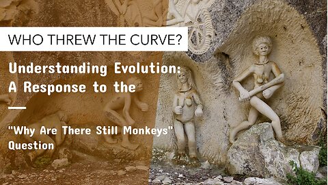 Understanding Evolution: A Response to the "Why Are There Still Monkeys" Question #foryou #trending