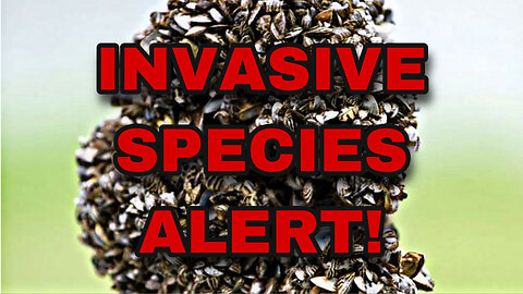 Another Texas Lake infested with Invasive Species