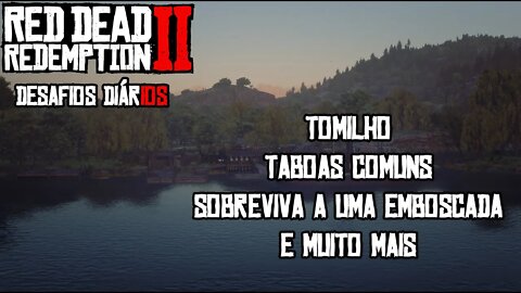 RED DEAD ONLINE DESADIOS DIÁRIOS, EMBOSCADAS, TOMILHO E TABOA COMUM