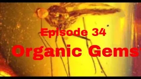 Episode 34: Organic Gemstones